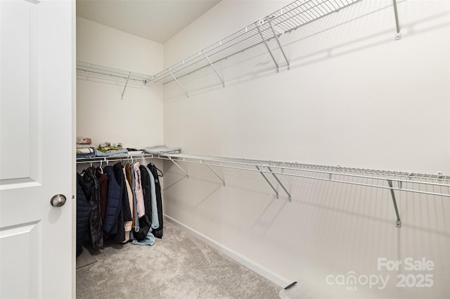 walk in closet with carpet