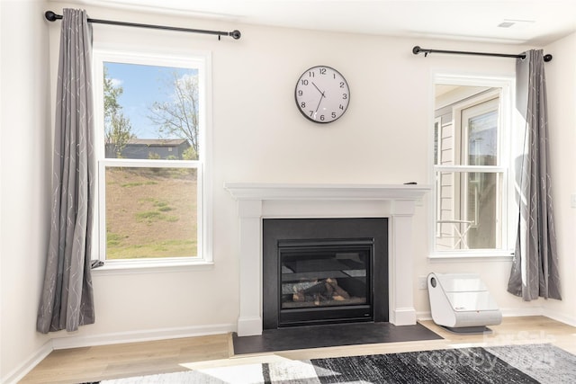 165 Winterberry St, Mooresville, NC 28117 - room details with baseboards, wood finished floors, and a fireplace with flush hearth