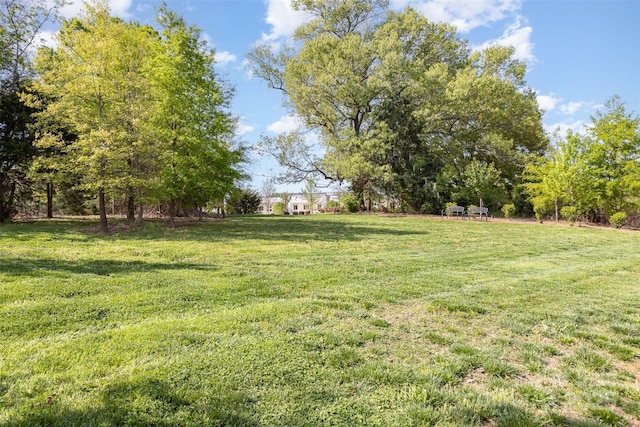 165 Winterberry St, Mooresville, NC 28117 - view of yard