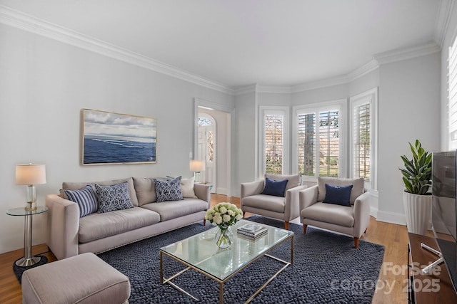 living room featuring ornamental molding, baseboards, and wood finished floors