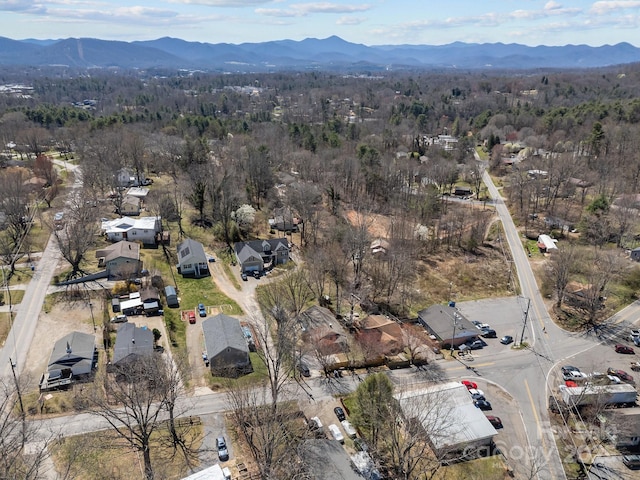 468 Deaverview Rd, Asheville, NC 28806 - photo 40