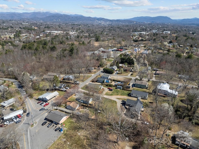 468 Deaverview Rd, Asheville, NC 28806 - photo 43