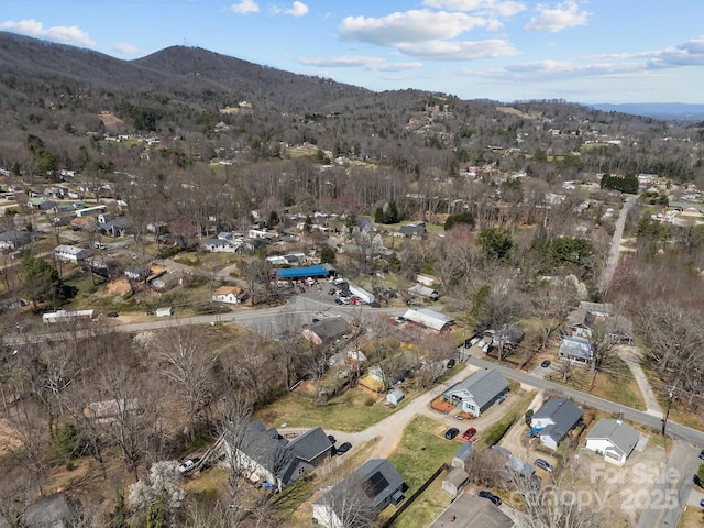 468 Deaverview Rd, Asheville, NC 28806 - photo 44