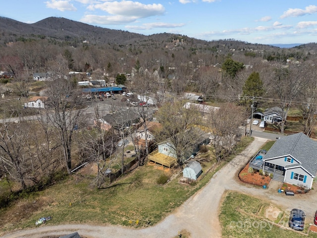 468 Deaverview Rd, Asheville, NC 28806 - photo 2