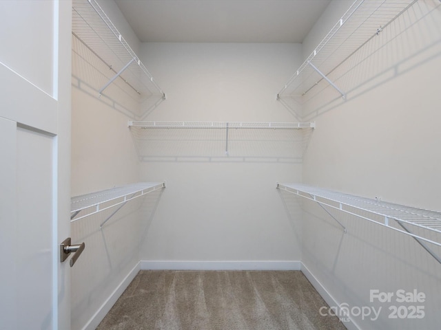 1814 Shumard Ln, Charlotte, NC 28205 - walk in closet with carpet floors