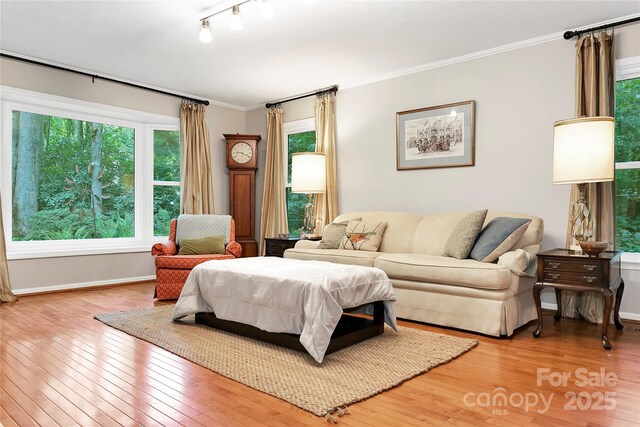 95 Ridgewood Pl, Brevard, NC 28712 - living room featuring hardwood / wood-style floors, crown molding, and baseboards