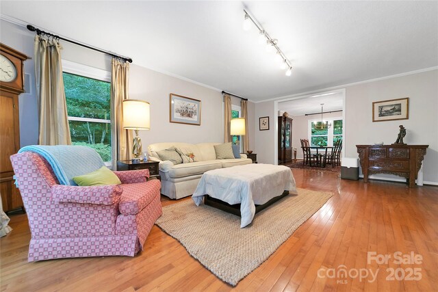 95 Ridgewood Pl, Brevard, NC 28712 - bedroom with access to outside, wood-type flooring, track lighting, ornamental molding, and a chandelier