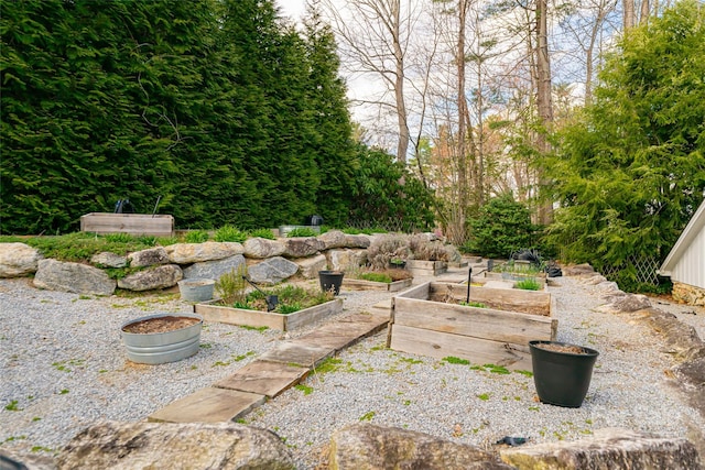 view of yard featuring a vegetable garden