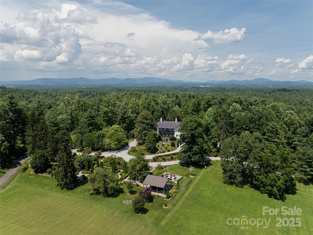 365 Sherwood Dr S, Flat Rock, NC 28731 - aerial view of mountains
