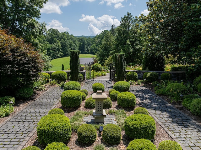 365 Sherwood Dr S, Flat Rock, NC 28731 - view of yard