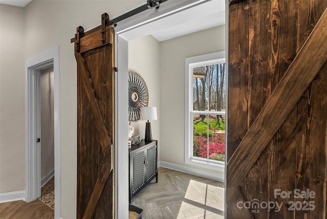 room details with baseboards and a barn door