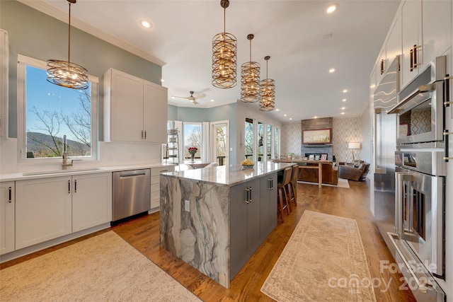 kitchen with a fireplace, a sink, wood finished floors, and appliances with stainless steel finishes