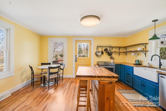 323 Emma Rd, Asheville, NC 28806 - kitchen with blue cabinetry, stainless steel appliances, a sink, wood counters, and light wood finished floors
