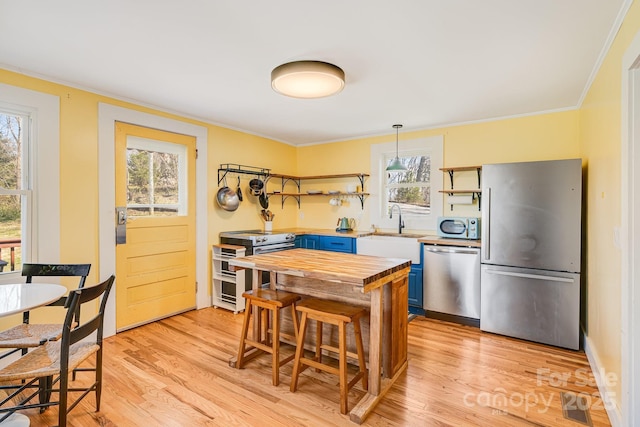 323 Emma Rd, Asheville, NC 28806 - kitchen with appliances with stainless steel finishes, a healthy amount of sunlight, open shelves, and butcher block counters