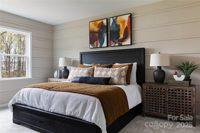 3012 Hutton Gardens Ln, Charlotte, NC 28269 - view of carpeted bedroom