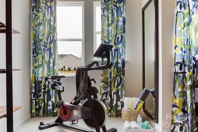 3012 Hutton Gardens Ln, Charlotte, NC 28269 - exercise room featuring carpet floors