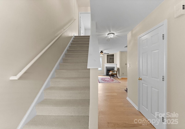 6635 Vlosi Dr, Charlotte, NC 28226 - photo 6