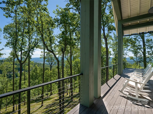 93 Pinchot Forest Dr, Asheville, NC 28803 - photo 36