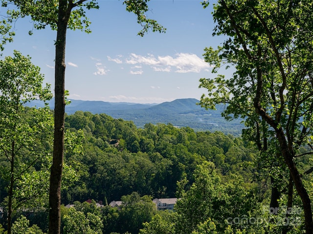 93 Pinchot Forest Dr, Asheville, NC 28803 - photo 37