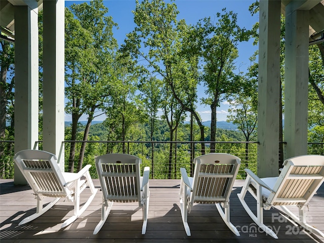93 Pinchot Forest Dr, Asheville, NC 28803 - photo 38