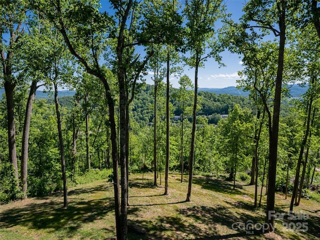 93 Pinchot Forest Dr, Asheville, NC 28803 - photo 39