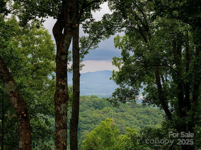 water view featuring a mountain view and a wooded view