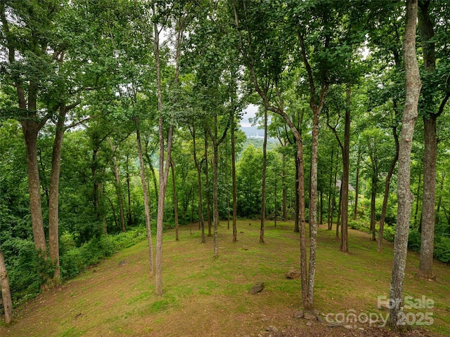 view of yard with a wooded view