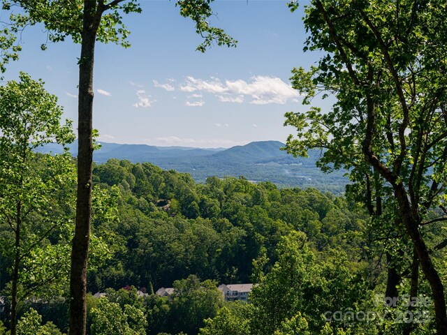 93 Pinchot Forest Dr Two Lots, Two Lots, Asheville, NC 28803 - photo 37