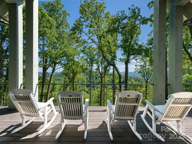 93 Pinchot Forest Dr Two Lots, Two Lots, Asheville, NC 28803 - photo 38