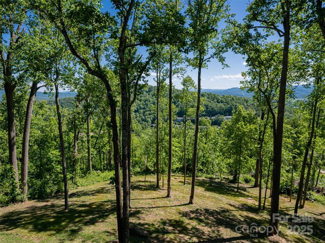 93 Pinchot Forest Dr Two Lots, Two Lots, Asheville, NC 28803 - photo 39