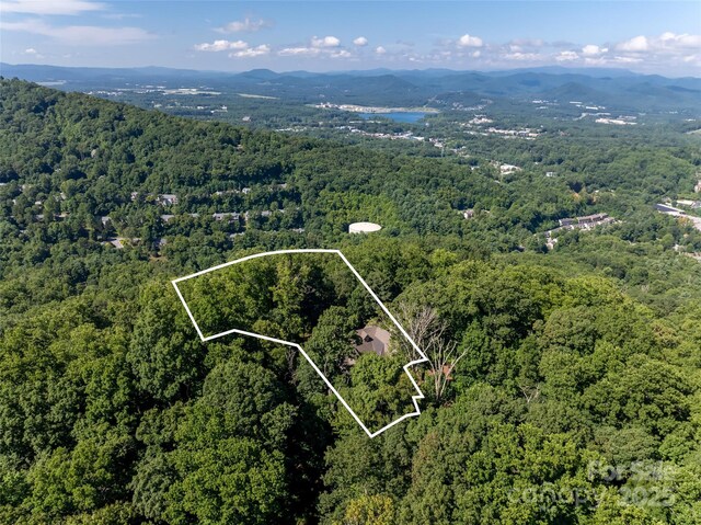 93 Pinchot Forest Dr Two Lots, Two Lots, Asheville, NC 28803 - photo 40