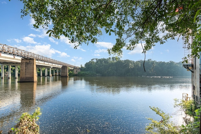 758 Waterscape Ct, Rock Hill, SC 29730 - photo 44