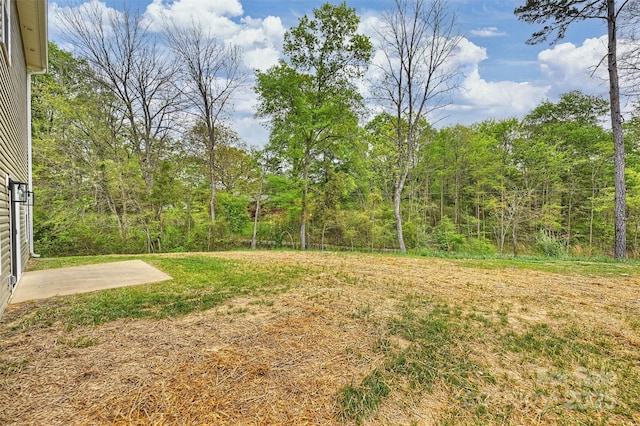 view of yard with a patio