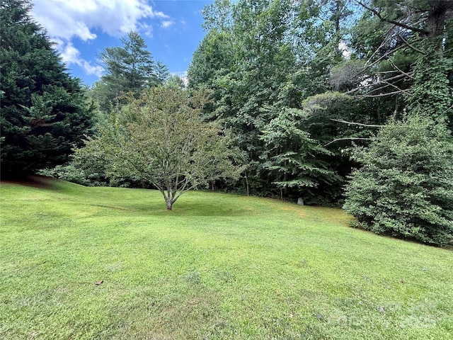 194 Acorn Ln, Pisgah Forest, NC 28768 - photo 6