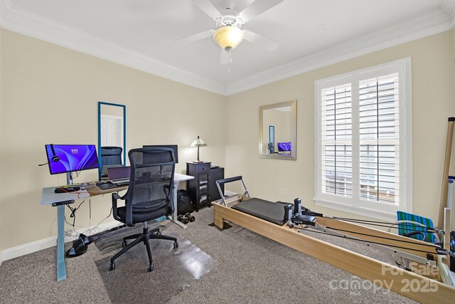 office area with carpet flooring, ornamental molding, and plenty of natural light