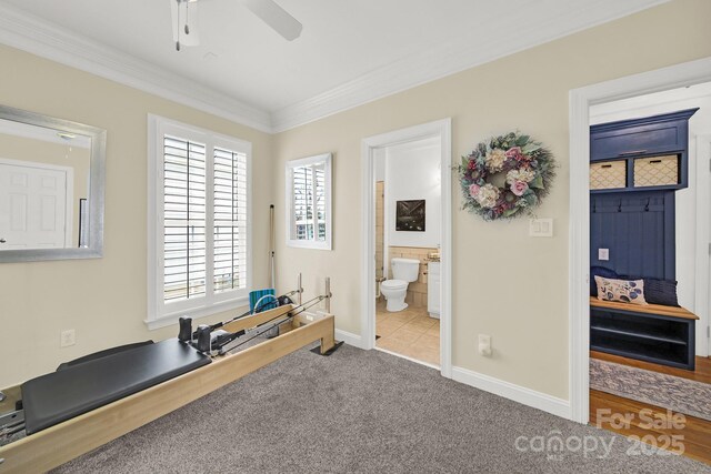 workout room featuring crown molding, baseboards, ceiling fan, and carpet flooring