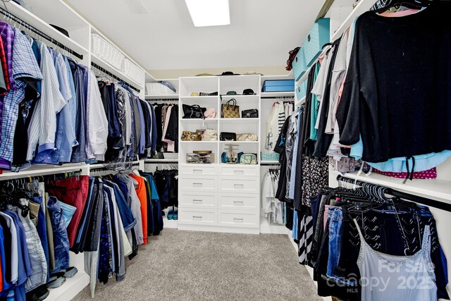 walk in closet with visible vents and carpet