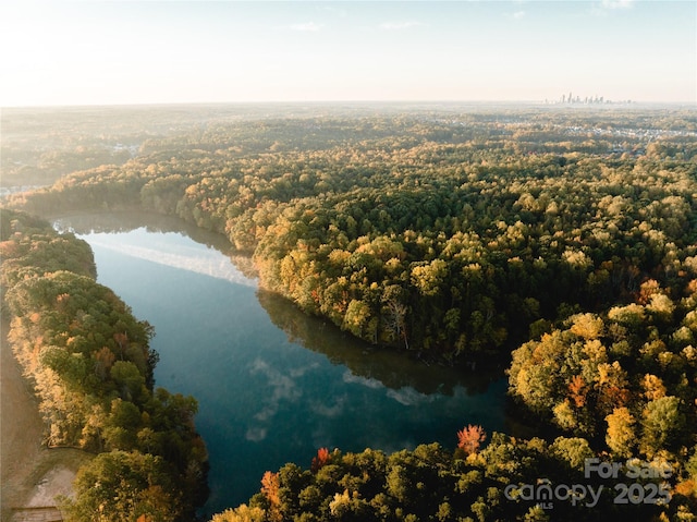 bird's eye view featuring a water view and a view of trees