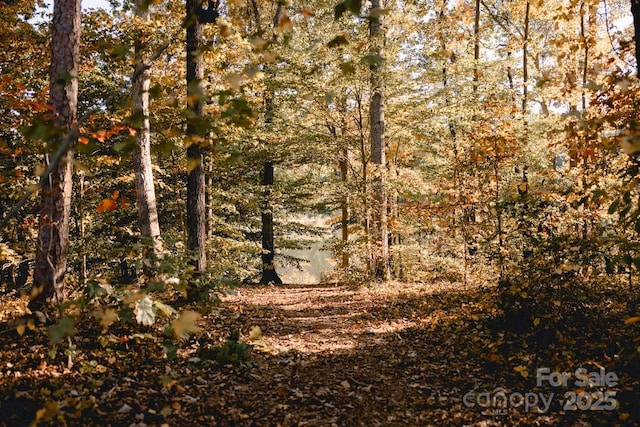 view of landscape featuring a view of trees