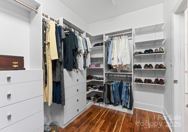 102 Stone Point Ct, Mooresville, NC 28117 - walk in closet with wood finished floors