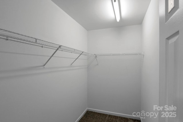 804 Eddy Dr, Fort Mill, SC 29715 - photo 31