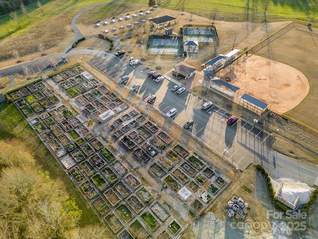 drone / aerial view