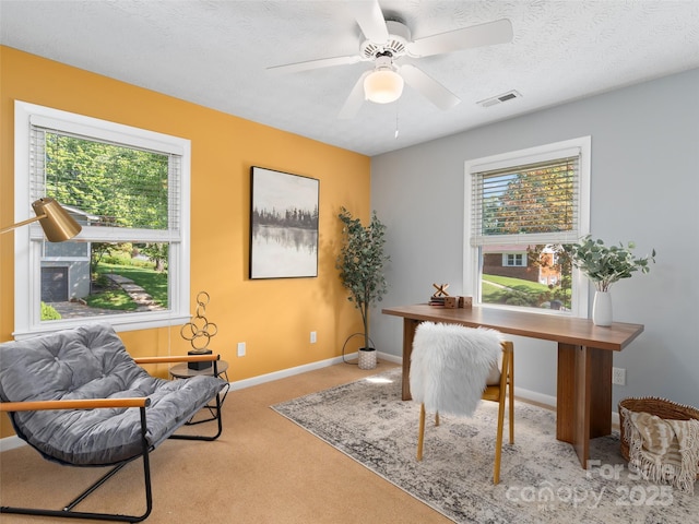 324 Woody Ln, Asheville, NC 28804 - photo 16