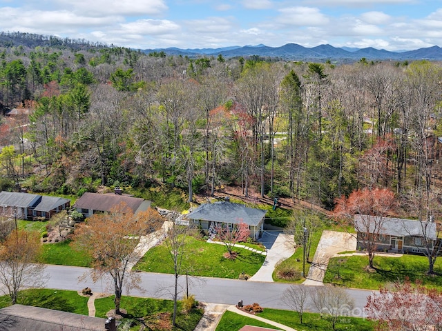 324 Woody Ln, Asheville, NC 28804 - photo 25