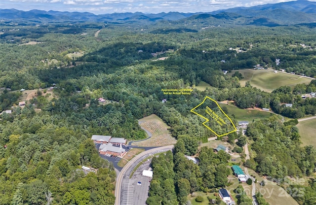 99999 Rocky Holw Unit 2, Weaverville, NC 28787 - photo 1