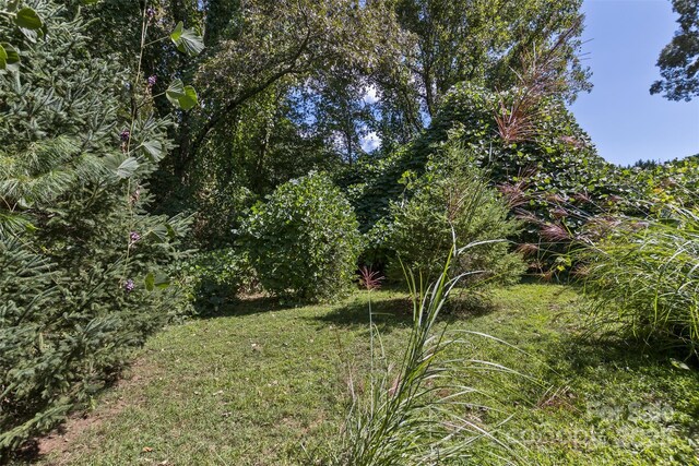 99999 Rocky Holw Unit 2, Weaverville, NC 28787 - photo 3