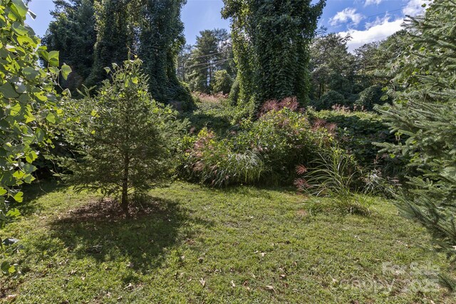 99999 Rocky Holw Unit 2, Weaverville, NC 28787 - photo 4