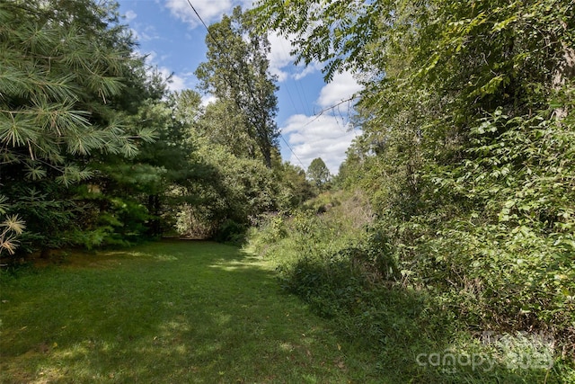 99999 Rocky Holw Unit 2, Weaverville, NC 28787 - photo 5