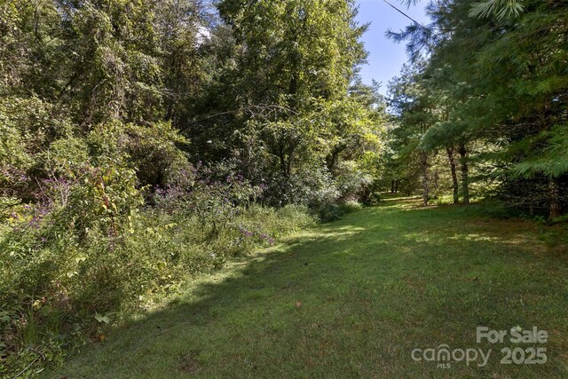 99999 Rocky Holw Unit 2, Weaverville, NC 28787 - photo 6