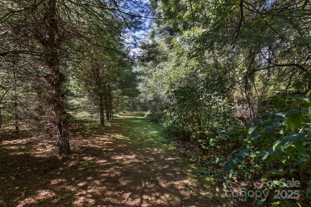 99999 Rocky Holw Unit 2, Weaverville, NC 28787 - photo 10